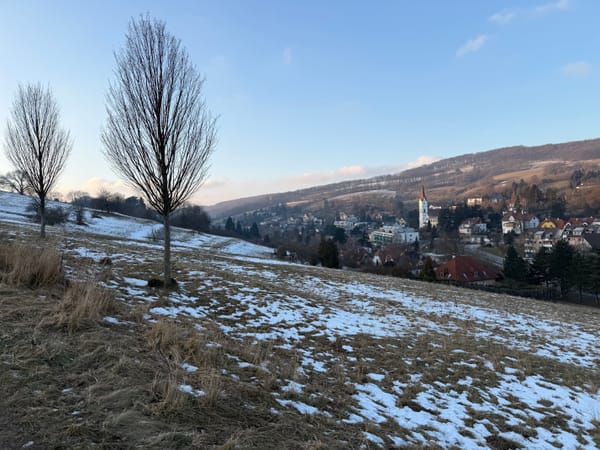 America's indecency is Austria's gain